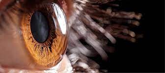 How Advances in Glaucoma Treatment Are Helping Preserve Sight for Future Generations