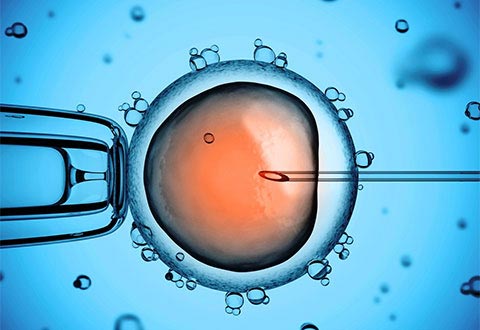 How Doctors Will Personalize Your IVF Treatment