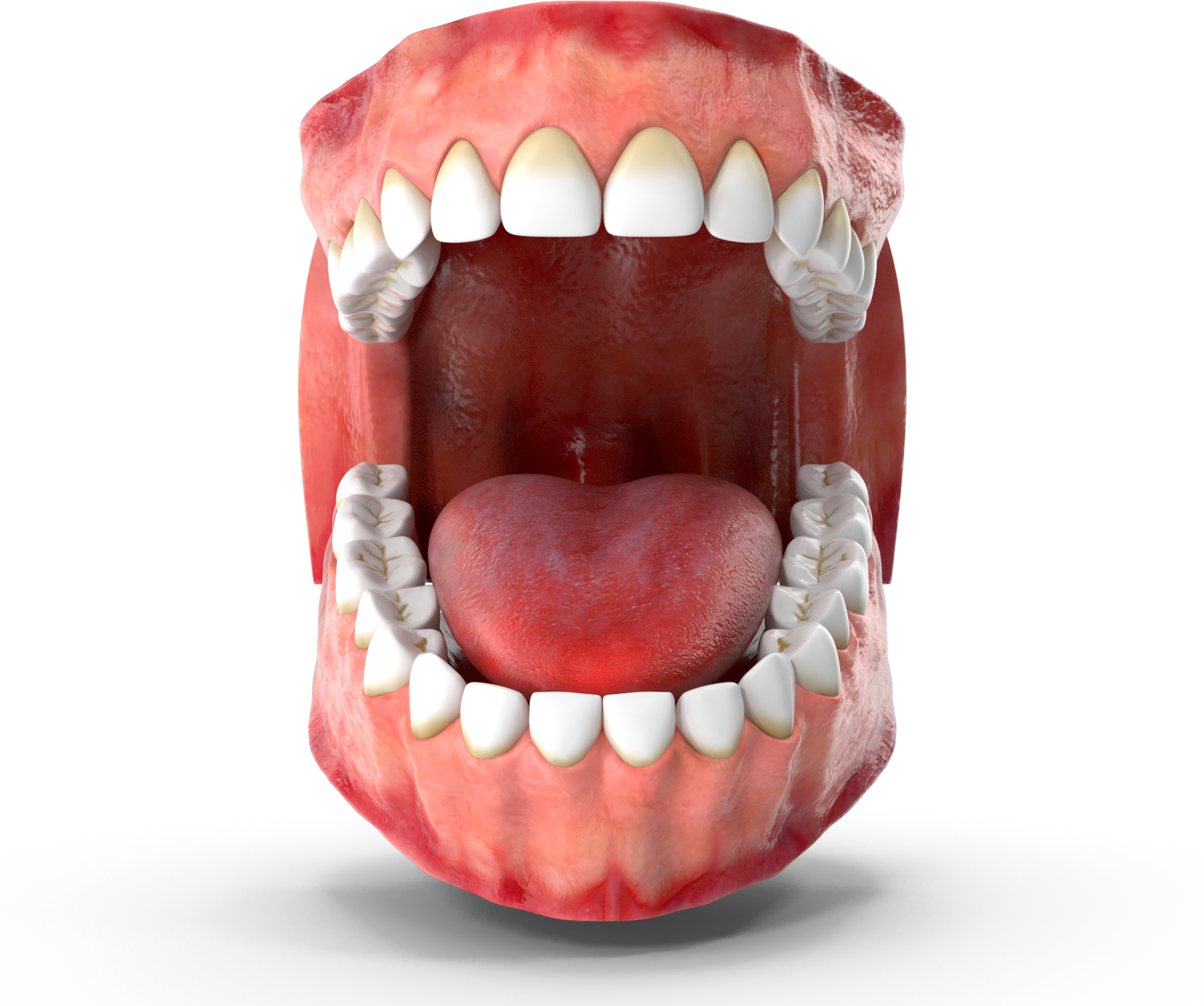 How to Handle Dental Emergencies and Minimize Pain