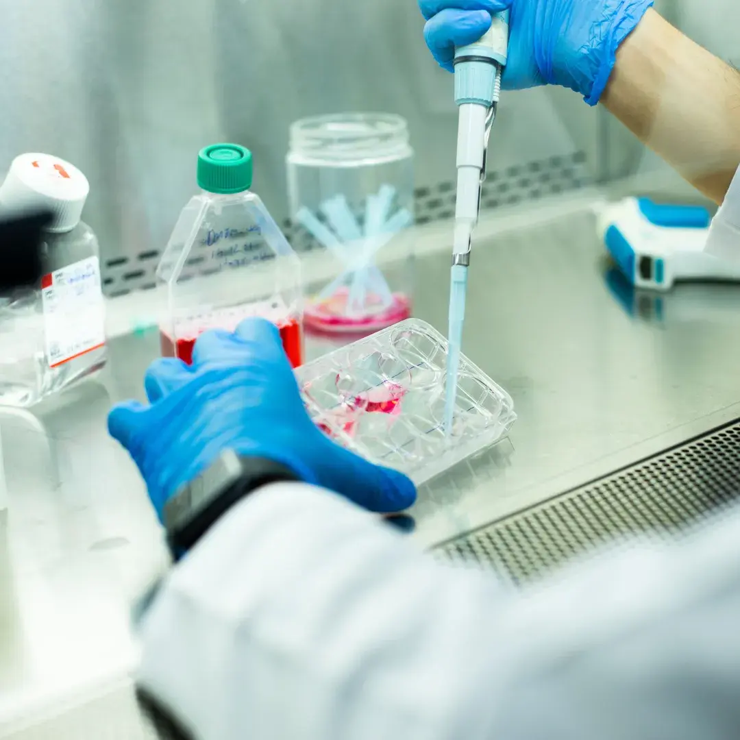 Is Cord Blood Banking Worth it?
