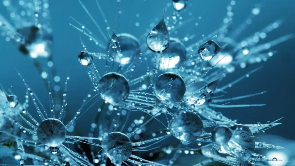 Ozone Therapy for Enhancing Detoxification and Wellness