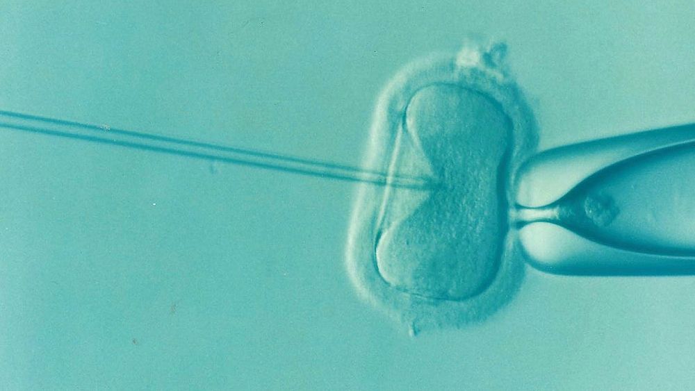The Emotional Impact of Infertility and Seeking Support