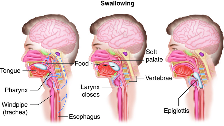 Are Palpitations a Sign of Something Serious? Expert Insights and Key Symptoms to Watch